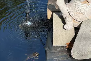 83 Lake Region Blvd, Monroe, NY 10950 - Photo 39