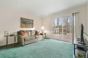 54 Douglas Ct, Pearl River, NY 10965 - Photo 15