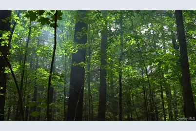 19 Stoutenburgh Drive, Hyde Park, NY 12538 - Photo 5