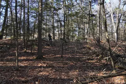 19 Stoutenburgh Drive, Hyde Park, NY 12538 - Photo 13