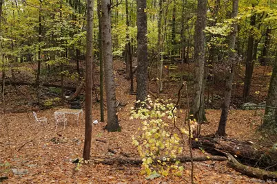 19 Stoutenburgh Drive, Hyde Park, NY 12538 - Photo 15