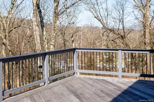 269 Milewood Rd, Millbrook, NY 12545 - Photo 35