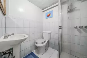 141 Branton St, Brooklyn, NY 11236 - Photo 15