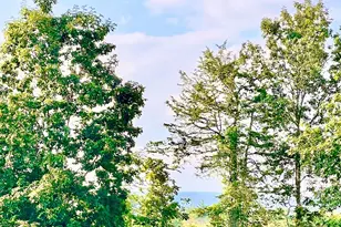 160 Pirog Rd, Pine Bush, NY 12566 - Photo 27