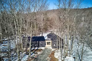 305 Old Danzer Rd, Livingston Manor, NY 12758 - Photo 29