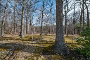 19 Tamara Ct, Melville, NY 11747 - Photo 21