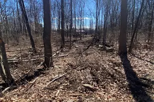 339 Kirbytown Rd, Middletown, NY 10940 - Photo 37