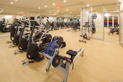 3000 Royal Court #3211, North Hills, NY 11040 - Photo 23