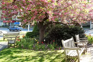 20 N Broadway, White Plains, NY 10601 - Photo 31