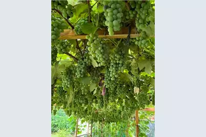 35 Hicks Avenue, Syosset, NY 11791 - Photo 13