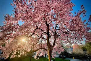 22 Taunton Rd, Scarsdale, NY 10583 - Photo 37