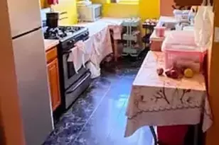 1538 St Marks Ave, Brooklyn, NY 11233 - Photo 17