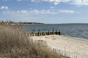 55 Leafy Way, Aquebogue, NY 11931 - Photo 3