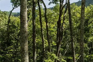 55 Nordic Dr, Woodstock, NY 12498 - Photo 35