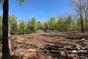 93 York Road S, Bloomingburg, NY 12721 - Photo 3