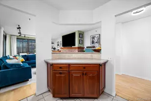 10 Cottage Pl, White Plains, NY 10601 - Photo 15