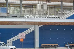 10 Cottage Pl, White Plains, NY 10601 - Photo 27