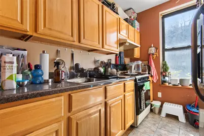 244 45th Street, Brooklyn, NY 11220 - Photo 11