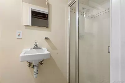 244 45th Street, Brooklyn, NY 11220 - Photo 29