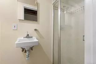 244 45th St, Brooklyn, NY 11220 - Photo 29