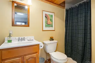 2327 Salt Point Turnpike, Clinton Corners, NY 12514 - Photo 13