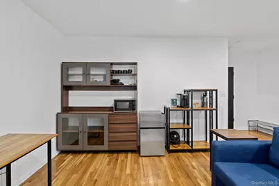 124 Thomas S Boyland Street, Brooklyn, NY 11233 - Photo 31