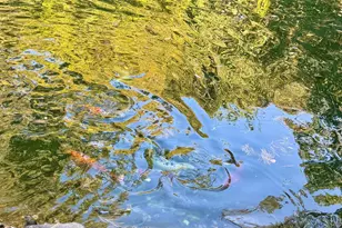 55 Kristin Ln, Hauppauge, NY 11788 - Photo 33