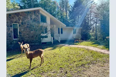 471 Horseshoe Lake Road, Swan Lake, NY 12783 - Photo 31