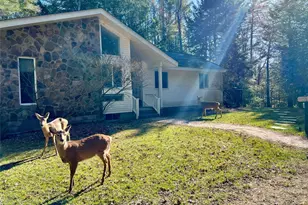 471 Horseshoe Lake Rd, Swan Lake, NY 12783 - Photo 31