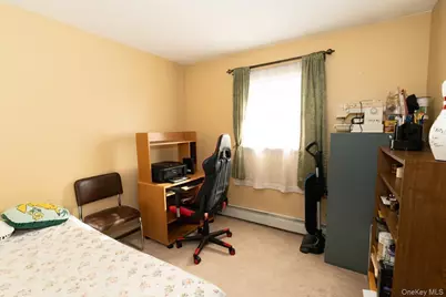 305 S 10th Street, New Hyde Park, NY 11040 - Photo 15