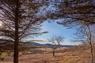 87 Kaye Rd, Millerton, NY 12546 - Photo 35