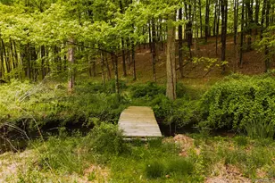 1046 Bulls Head Rd, Clinton Corners, NY 12514 - Photo 41