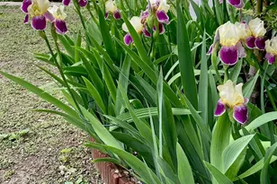 13 Irvington St, Dobbs Ferry, NY 10522 - Photo 31