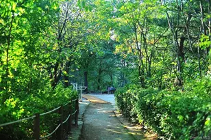 83-75 Woodhaven Blvd, Woodhaven, NY 11421 - Photo 19