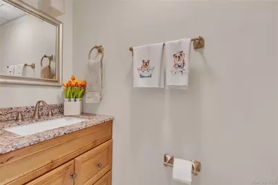 203 Williamsburg Drive, Mahopac, NY 10541 - Photo 9