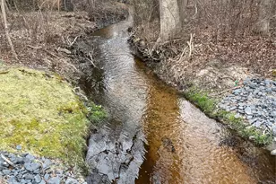 32 Branch Dr, Smithtown, NY 11787 - Photo 43