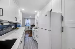 2 Birchwood Ct, Mineola, NY 11501 - Photo 19