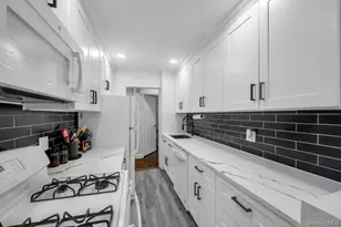 2 Birchwood Ct, Mineola, NY 11501 - Photo 17