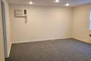 222 Cleveland Ave, Mineola, NY 11501 - Photo 15