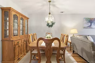 58 Theodore Dr, Coram, NY 11727 - Photo 9