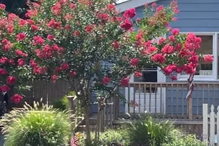 46 Monell Ave, Islip, NY 11751 - Photo 5