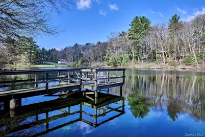 39 Pitio Road, Glen Spey, NY 12737 - Photo 5