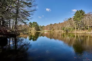 39 Pitio Rd, Glen Spey, NY 12737 - Photo 41