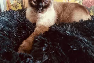 90 Bryant Ave, White Plains, NY 10605 - Photo 33