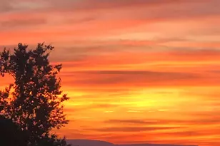 18 Almond Tree Ln, Warwick, NY 10990 - Photo 45