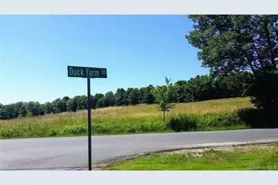 Tbd Old Chester & Duck Farm Road, Goshen, NY 10924 - Photo 5