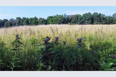 Tbd Old Chester & Duck Farm Road, Goshen, NY 10924 - Photo 33