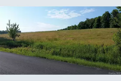 Tbd Old Chester & Duck Farm Road, Goshen, NY 10924 - Photo 31