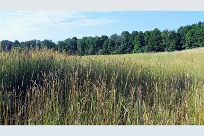 Tbd Old Chester & Duck Farm Road, Goshen, NY 10924 - Photo 35