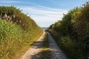 80 Louse Point, East Hampton, NY 11937 - Photo 19